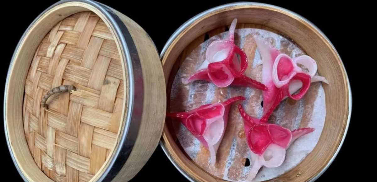 Ravioleria Amo Dim Sum (16)